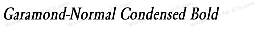 Garamond-Normal Condensed Bold Italic字体转换